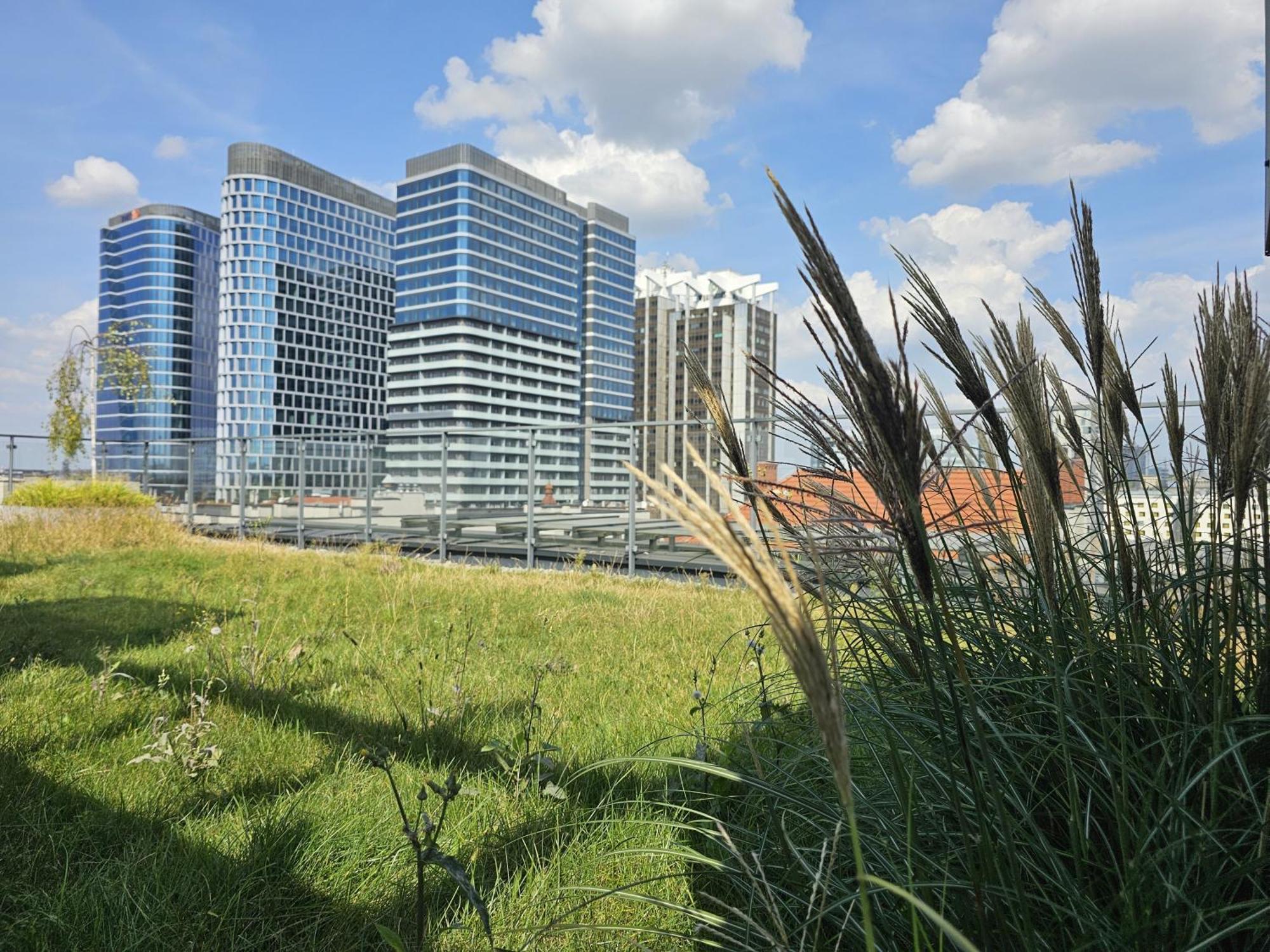 Urban Apartments Premium, Opolska 10 No 36, Free Garage, Self Check-In 卡托维兹 外观 照片